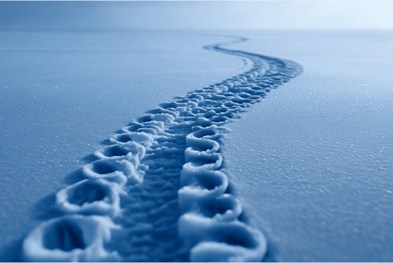 Kurvige Reifenspur im Schnee, die an die Saugnäpfe eines Oktopustentakels erinnert – symbolisiert das agile Handling und die präzise Steuerung der Nissan Original Winterkompletträder.